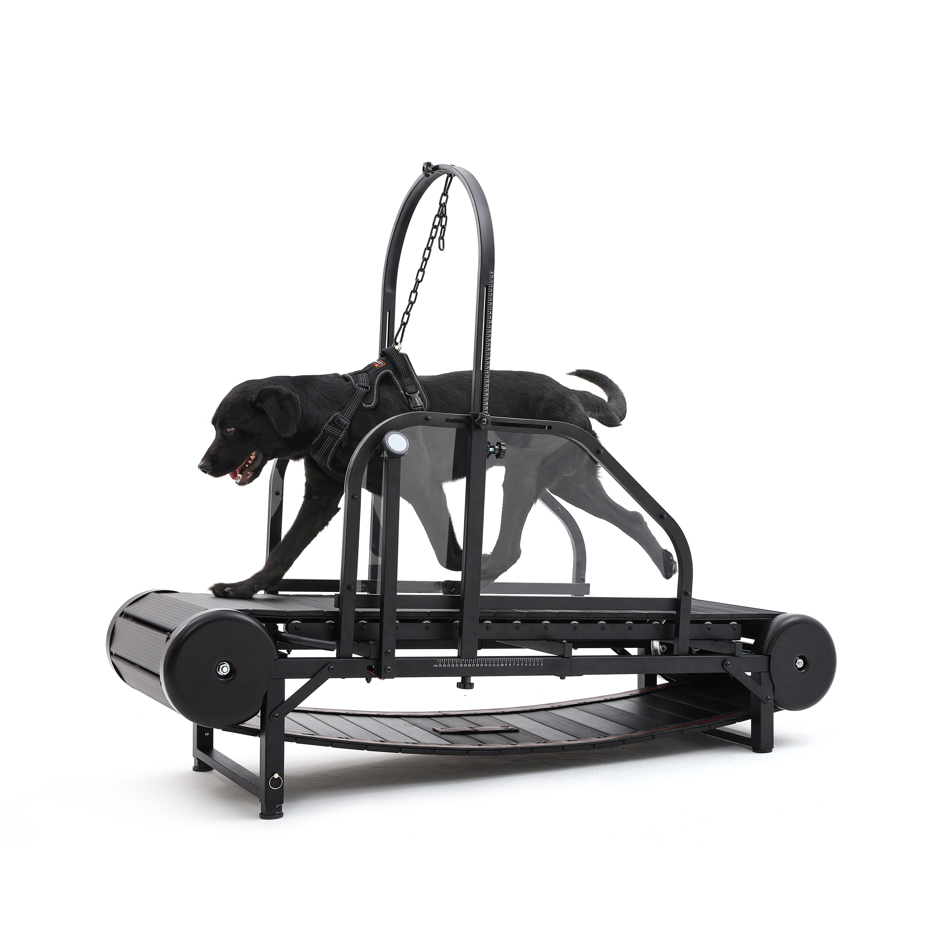 Dog Treadmill for Medium and Large Dogs Lovepluspet