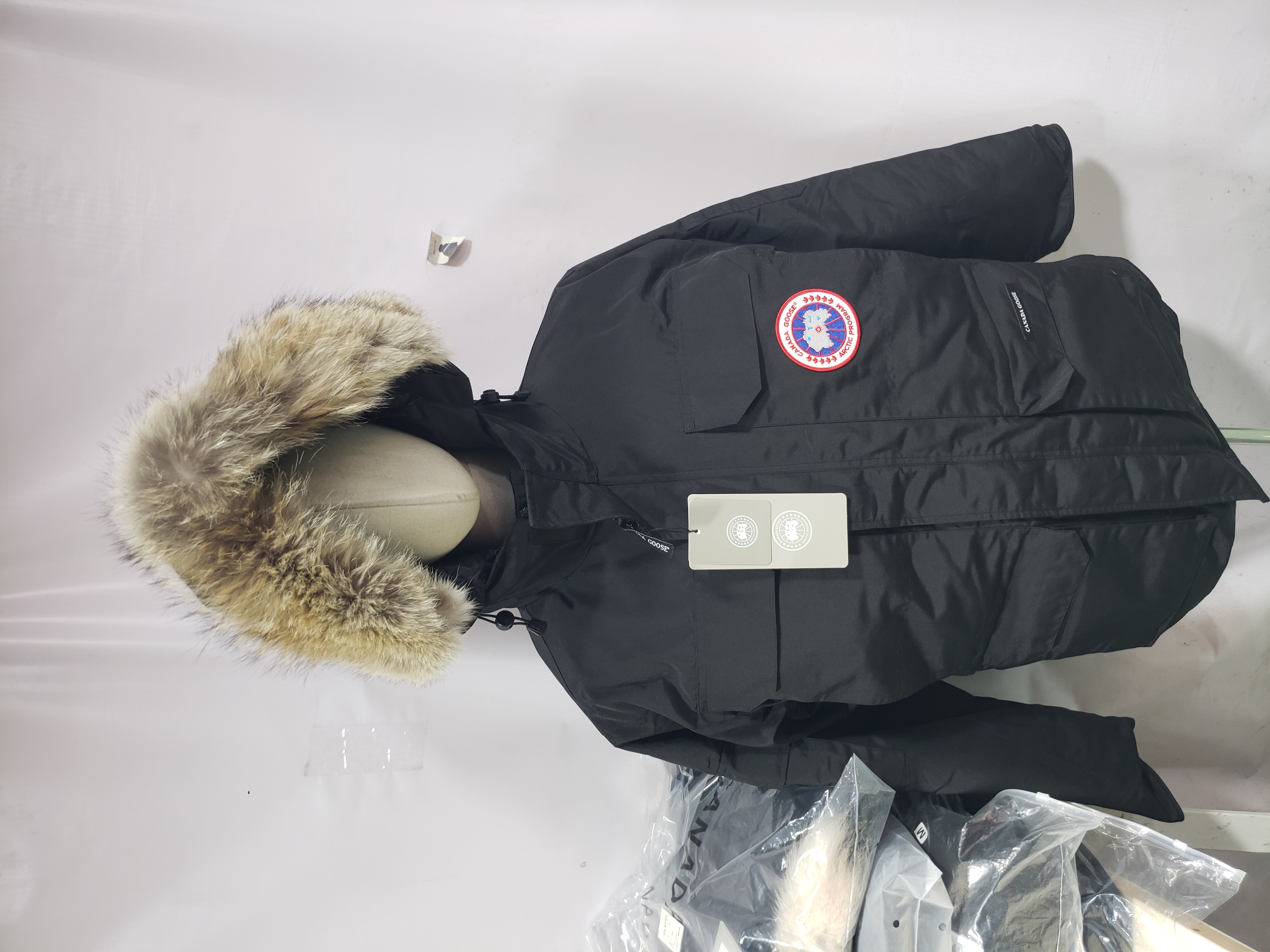 Canada Goose