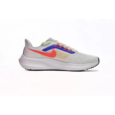 Nike Air Zoom Pegasus 39 White Blue Red