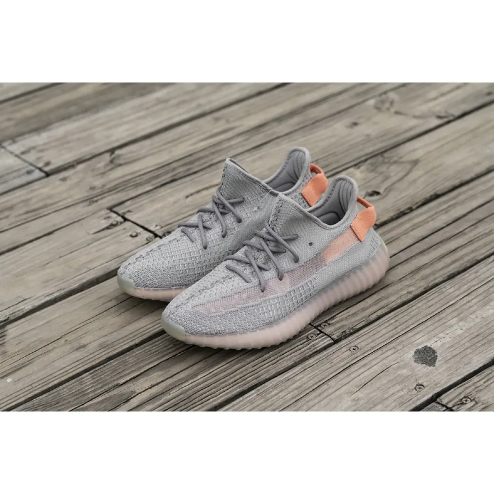  Adidas Yeezy Boost 350 V2 “True Form”