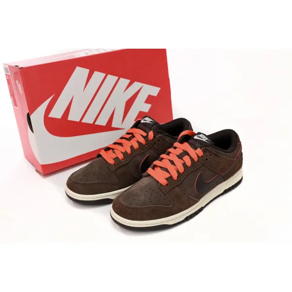 Nike Dunk Low Baroque Brown
