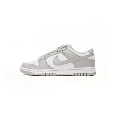 Nike Dunk Low Hoary 01