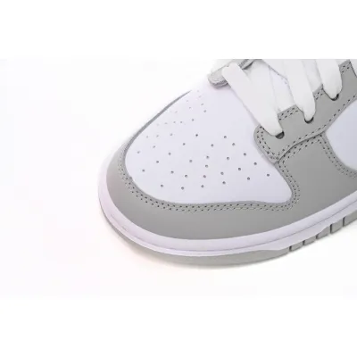 Nike Dunk Low Little Dior