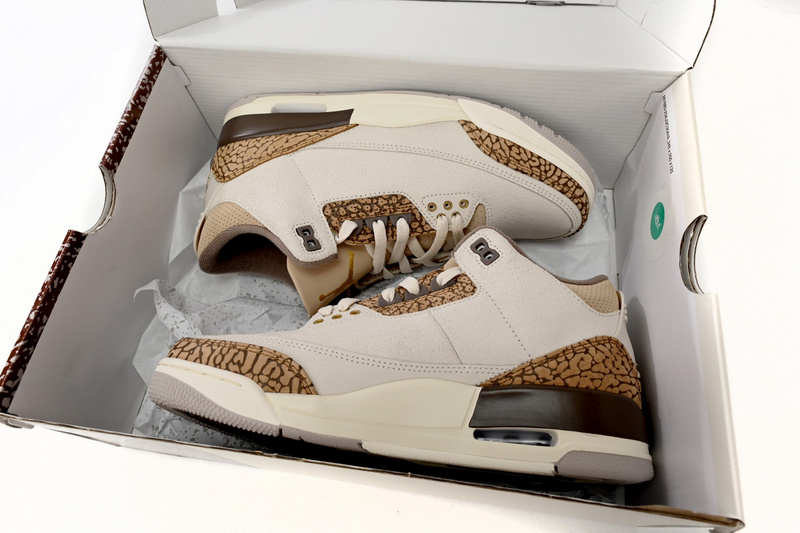 BS Air Jordan 3 Retro Cracked White Zongzi