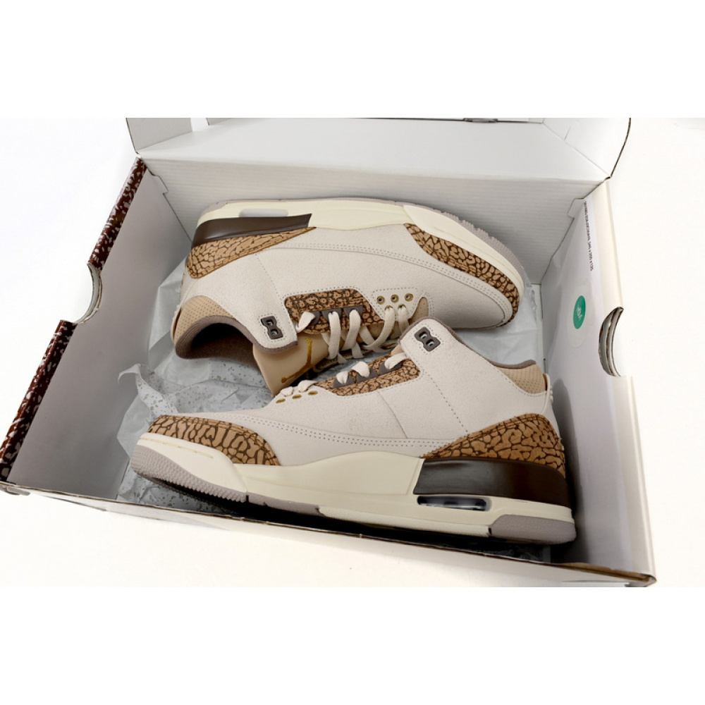 BS Air Jordan 3 Retro Cracked White Zongzi