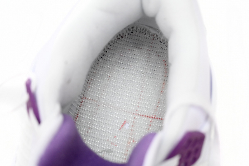 DJ Batch  Nike SB x Air Jordan 4 PAICU