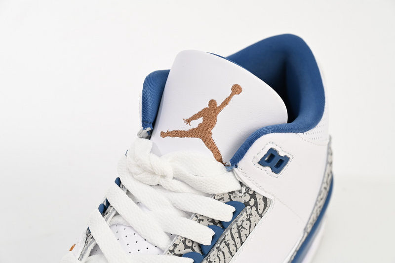 PB Air Jordan 3 Retro wizards
