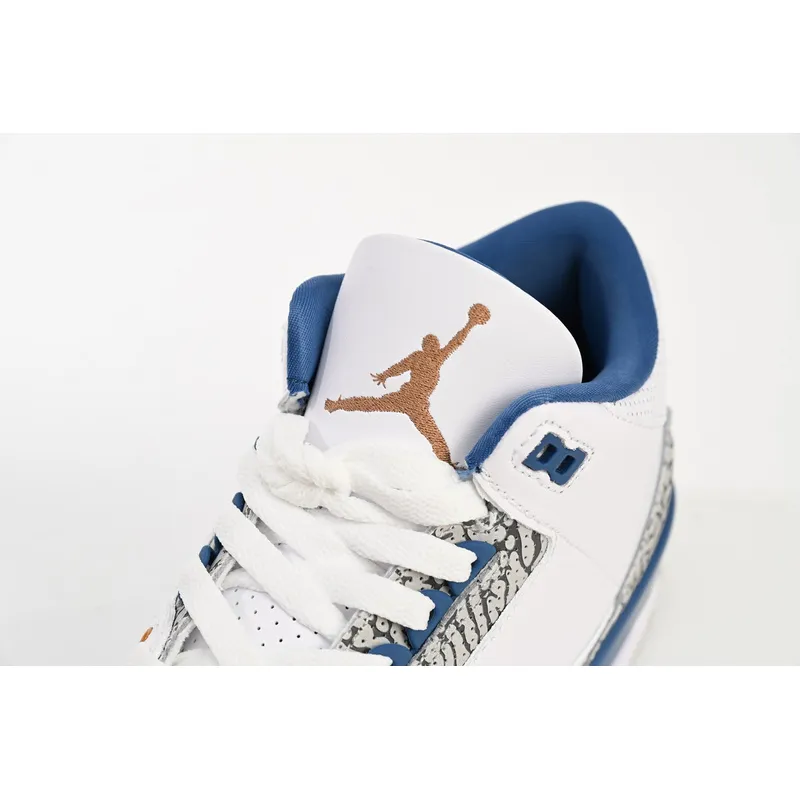 PB Air Jordan 3 Retro wizards