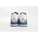 PK Air Jordan 3 Retro wizards