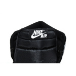 Q3 Air Jordan 1 High Revolt