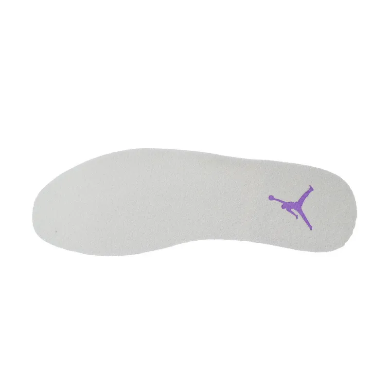 Q3 Air Jordan 1 Low Guchi Purple