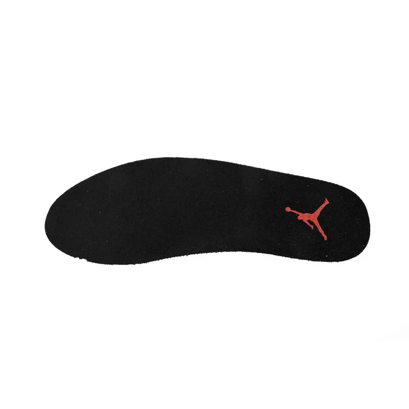 A1  Air Jordan 12 “Reverse Flu Game”