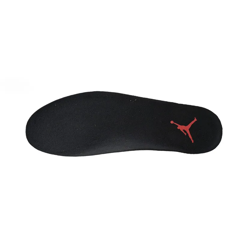 A1  Air Jordan 12 Black And “Playoffs”