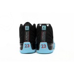 A1  Air Jordan 12 Black Orchid