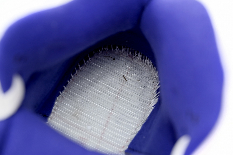BS Air Jordan 5 “Concord”