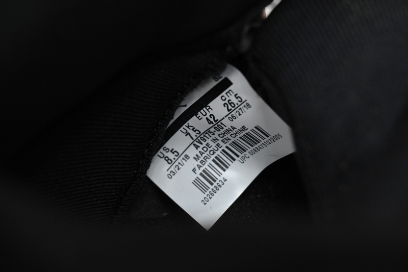 BS Air Jordan 5 Greater Paris