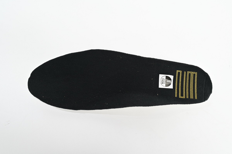 XH Air Jordan 11“DMP”