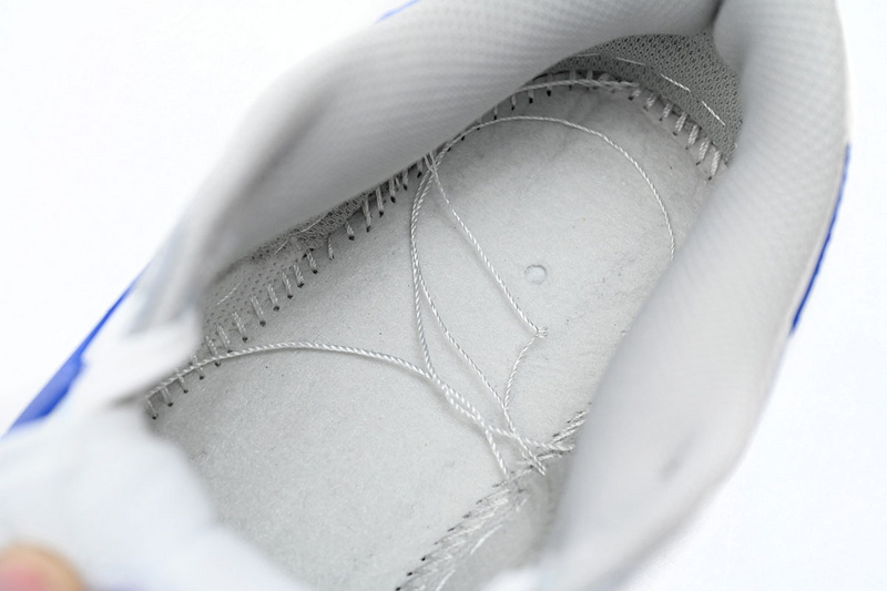 GB Nike Dunk Low Blue