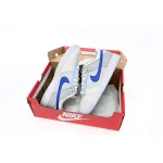 GB Nike Dunk Low Blue