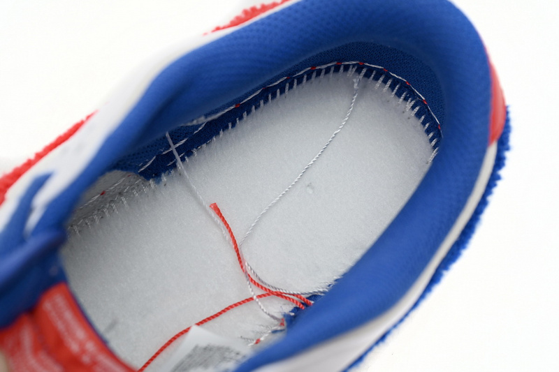 GB Nike Dunk Low Retro PRM