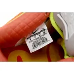 GB Nike Dunk Low What the Dunk Colorful Pigeon