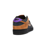 LF  Nike Dunk CiDer