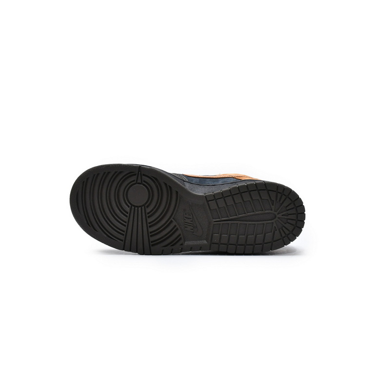 LF  Nike Dunk CiDer