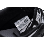 LF  Nike Dunk Low Retro “Black”