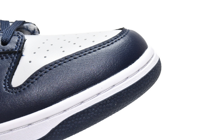 LF Nike Dunk Low Grorgetown