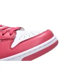 LF Nike Dunk Low Archeo Pink White