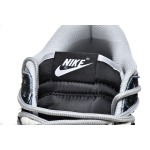 LF Nike Dunk Low Vibe