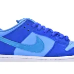 LF Nike SB Dunk Low Blue Raspberry