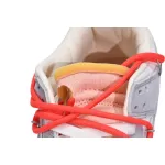 LF OFF WHITE x Nike Dunk SB Low The 50 NO.6