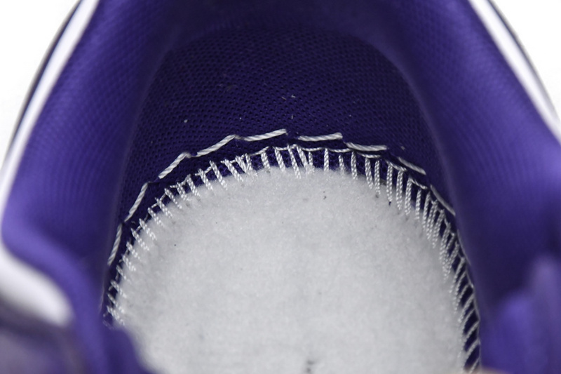 Nike Dunk Low Championship Court Purple