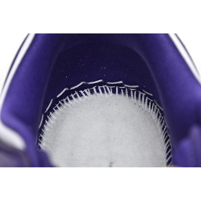 M Batch Nike Dunk Low Championship Court Purple