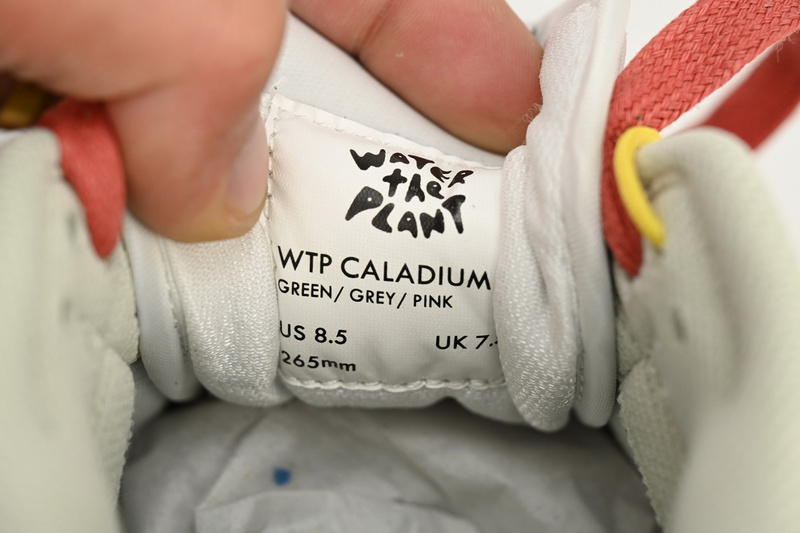 M Batch WTP"MOSS" DUNK Solar Powder