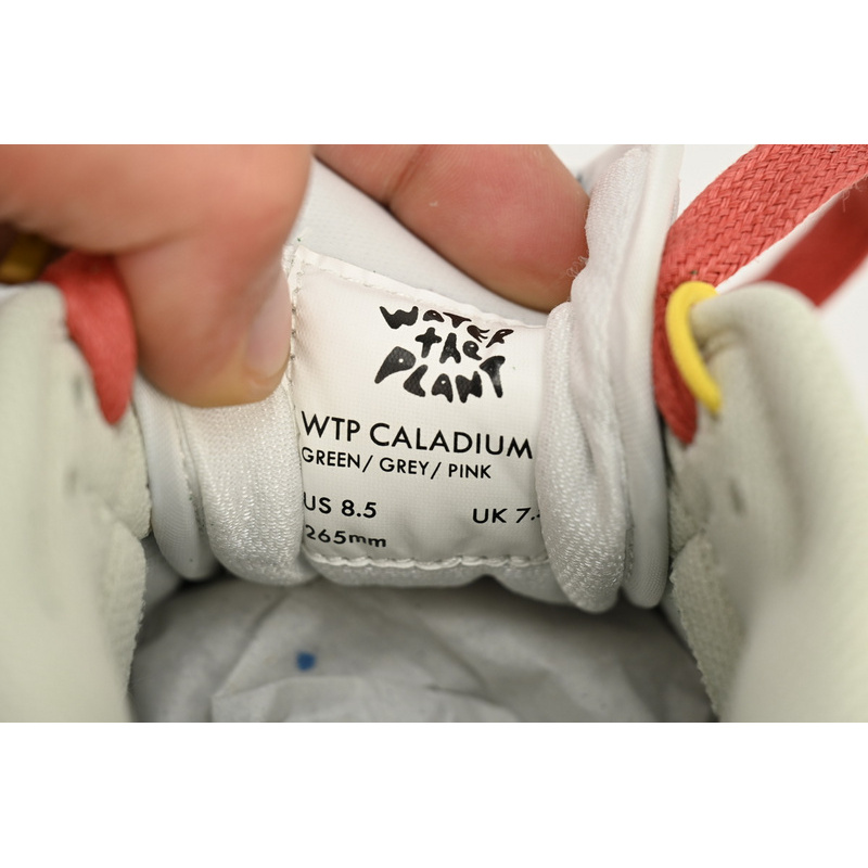 M Batch WTP"MOSS" DUNK Solar Powder