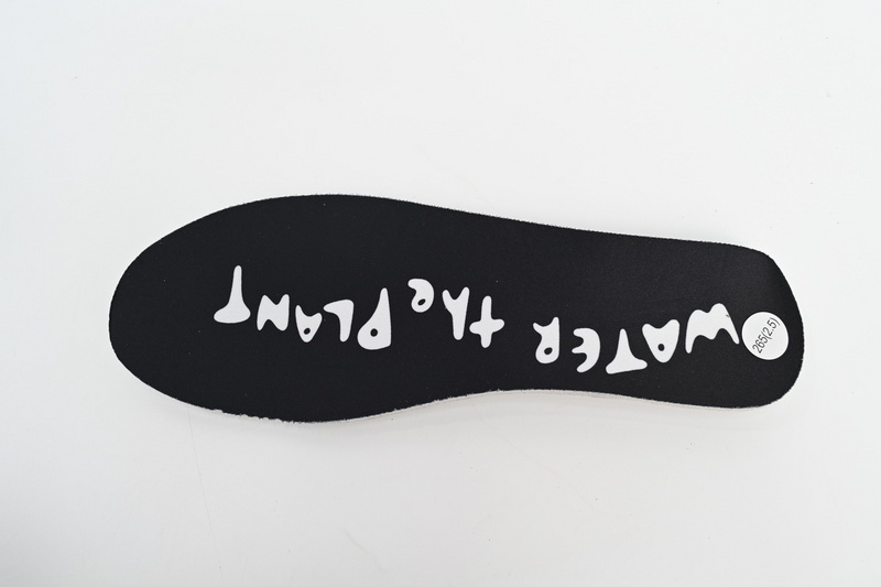 M Batch WTP"MOSS" DUNK White Rice Dumplings