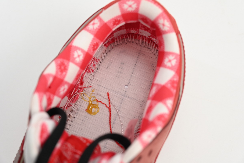 SX Concepts x Nike SB Dunk Low"Red Lobster"