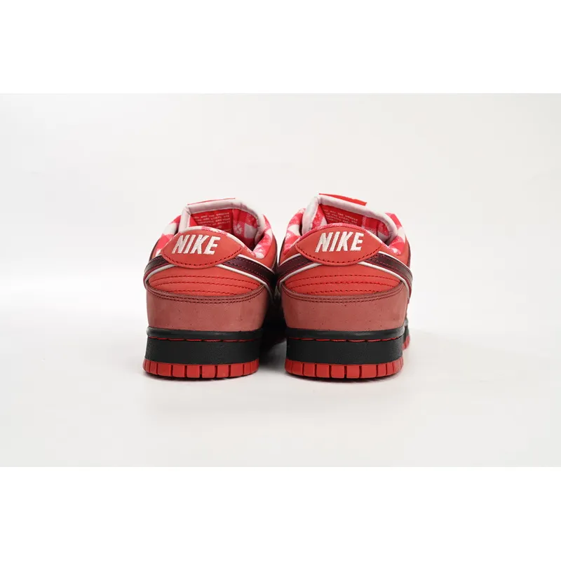 SX Concepts x Nike SB Dunk Low"Red Lobster"