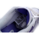 SX Nike Dunk Low “Purple Pulse”