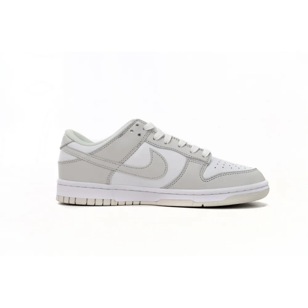 SX Nike Dunk Low Photon Dust