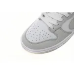 Nike Dunk Low Photon Dust