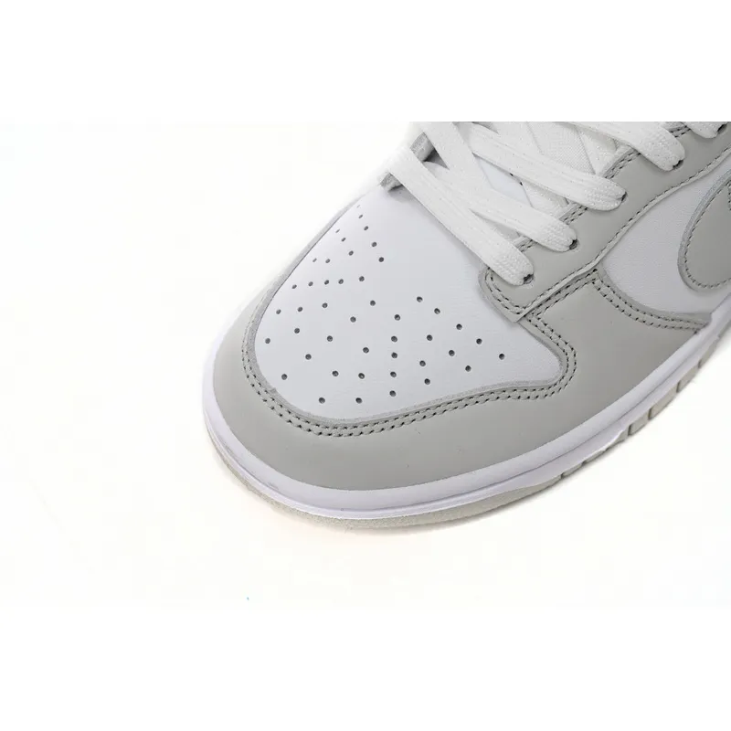 SX Nike Dunk Low Photon Dust