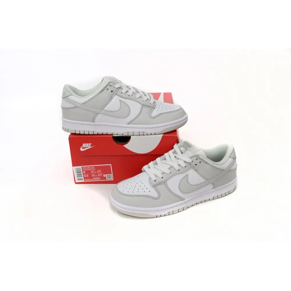 SX Nike Dunk Low Photon Dust