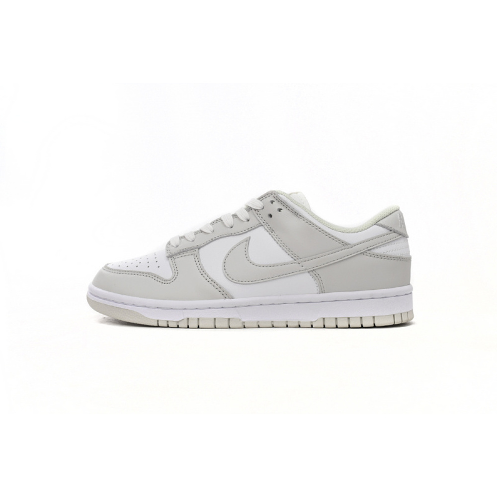 SX Nike Dunk Low Photon Dust