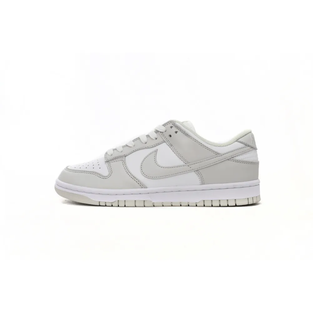 Nike Dunk Low Photon Dust