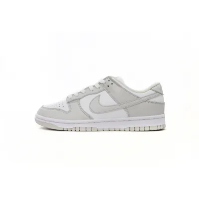 SX Nike Dunk Low Photon Dust 01