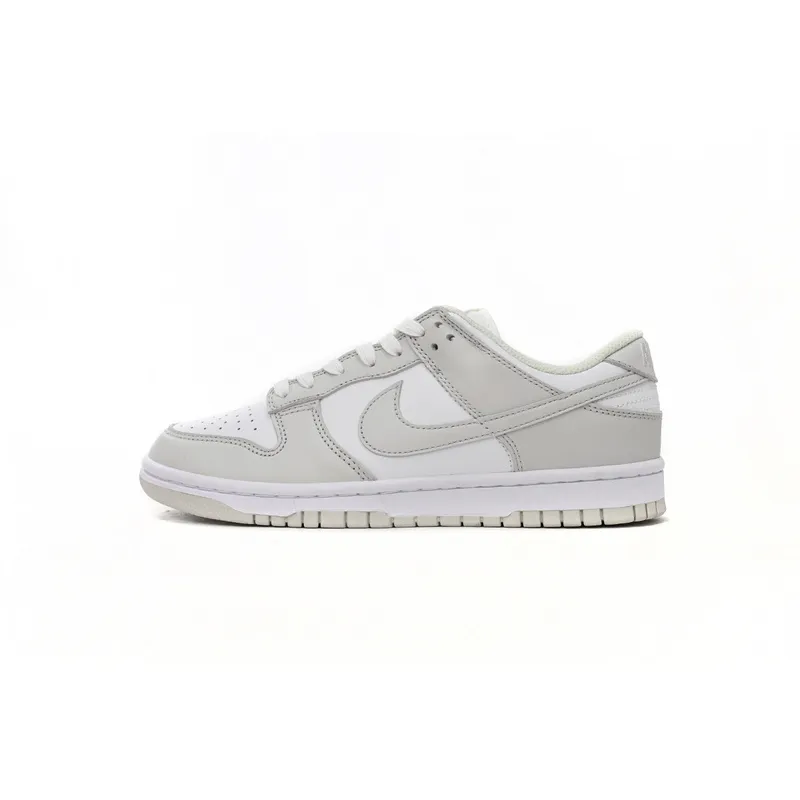 Nike Dunk Low Photon Dust