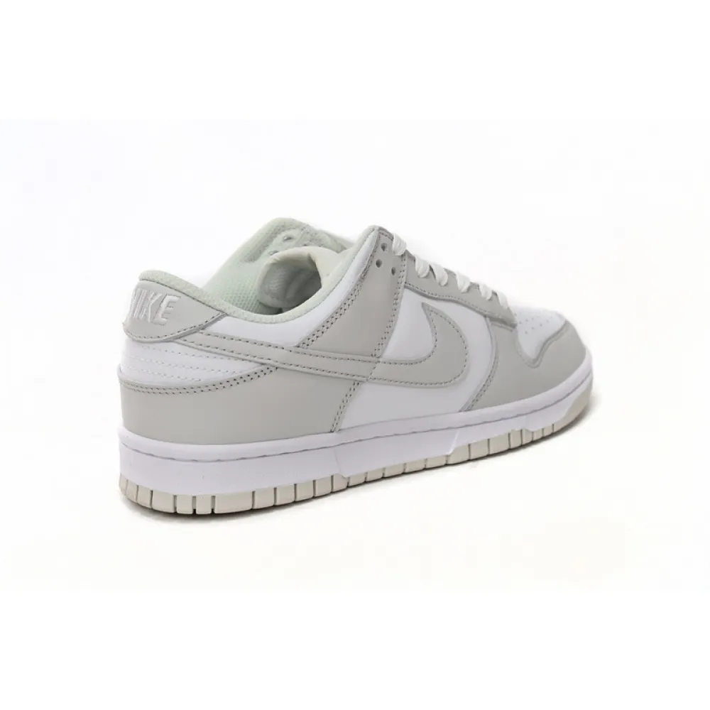 Nike Dunk Low Photon Dust